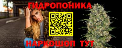 эйфоретик Лесосибирск