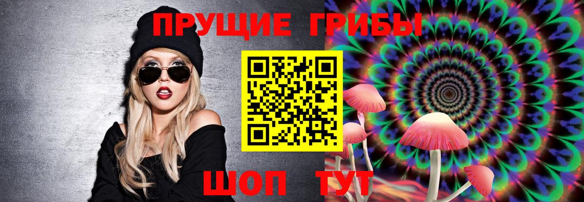Галлюциногенные грибы Cubensis  Псилоцибиновые грибы прущие грибы  Вход с VPN  Хасавюрт 