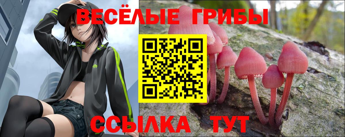 Галлюциногенные грибы мицелий Хасавюрт
